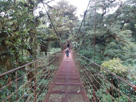 Monteverde Cloud Forest Biological Reserve
